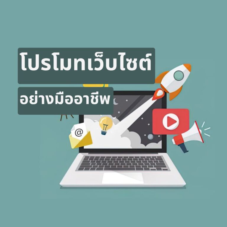 โปรโมทเว็บไซต์ อย่างมืออาชีพ