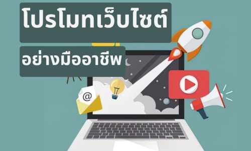 โปรโมทเว็บไซต์ อย่างมืออาชีพ